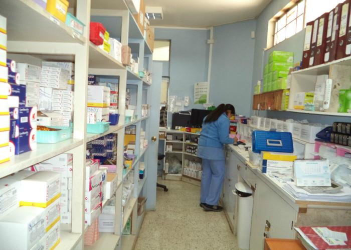 Imagen foto_00000003