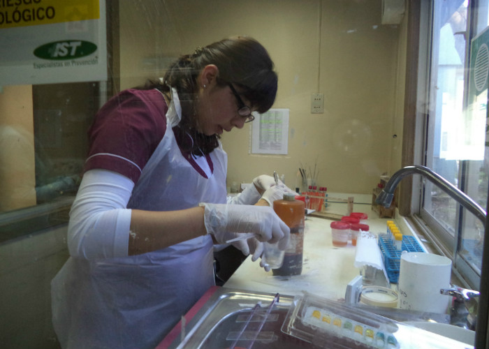 Imagen foto_00000004