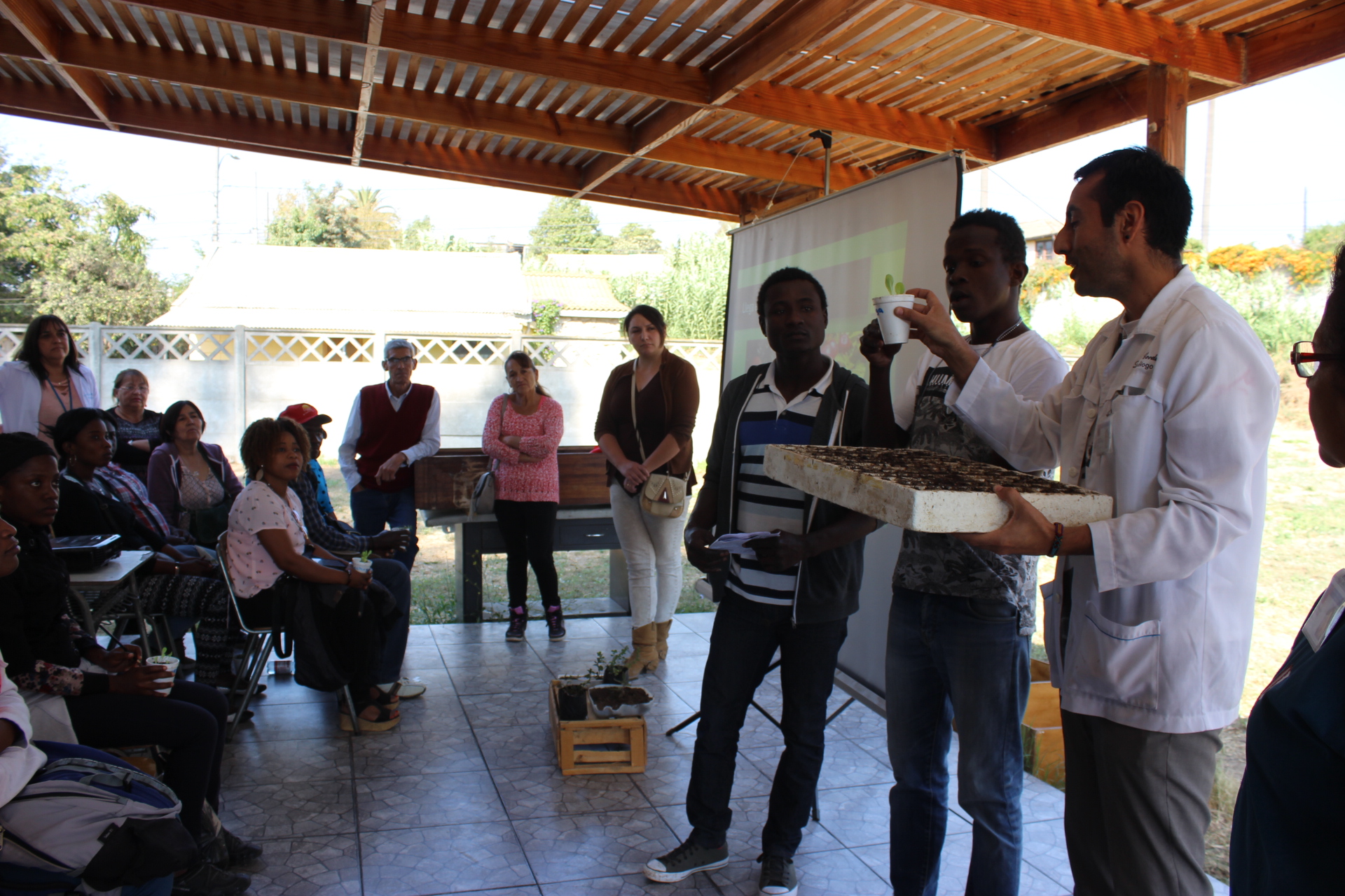 Imagen foto_00000016