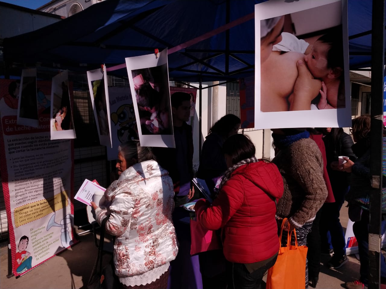 Imagen foto_00000011