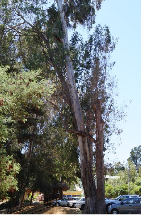 Imagen foto_00000004