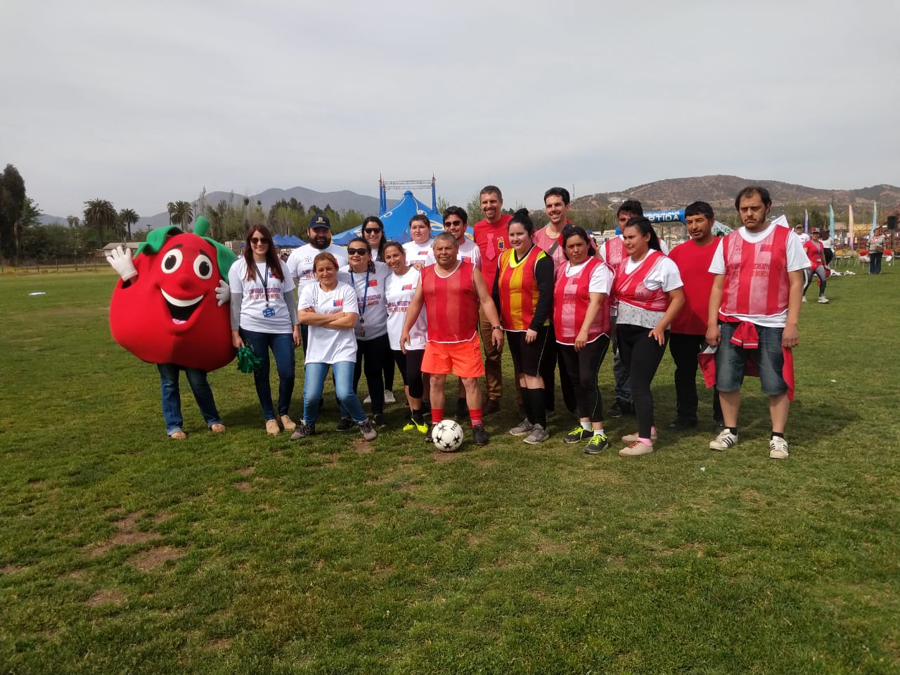 Imagen foto_00000011